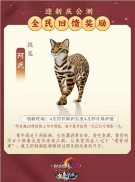 天龙八部私服无双版本
